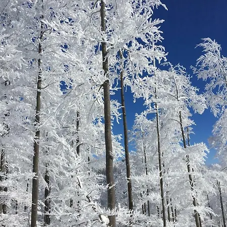 Landhaus بيت ضيافة Puchenstuben