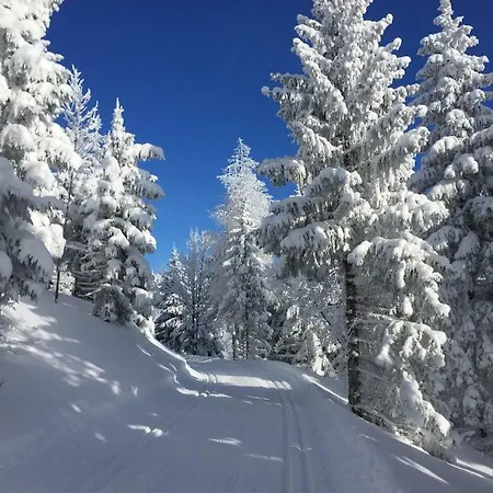 بيت ضيافة Landhaus Puchenstuben