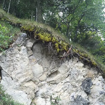 Gasthof Landhaus *